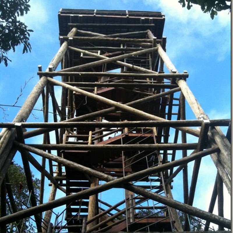 Desenho Antigo  Além da Torre de Observação 2