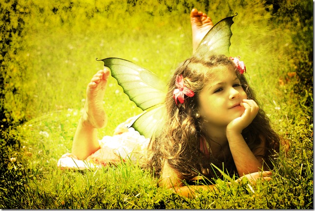 maya fairy copy