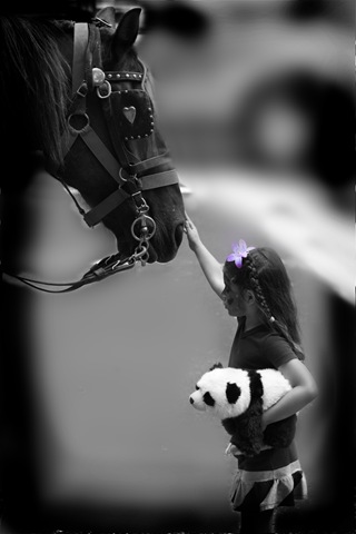 [horse1[3].jpg]