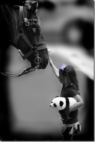 horse1