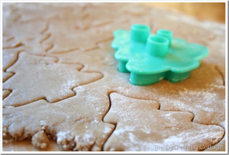 cookie5