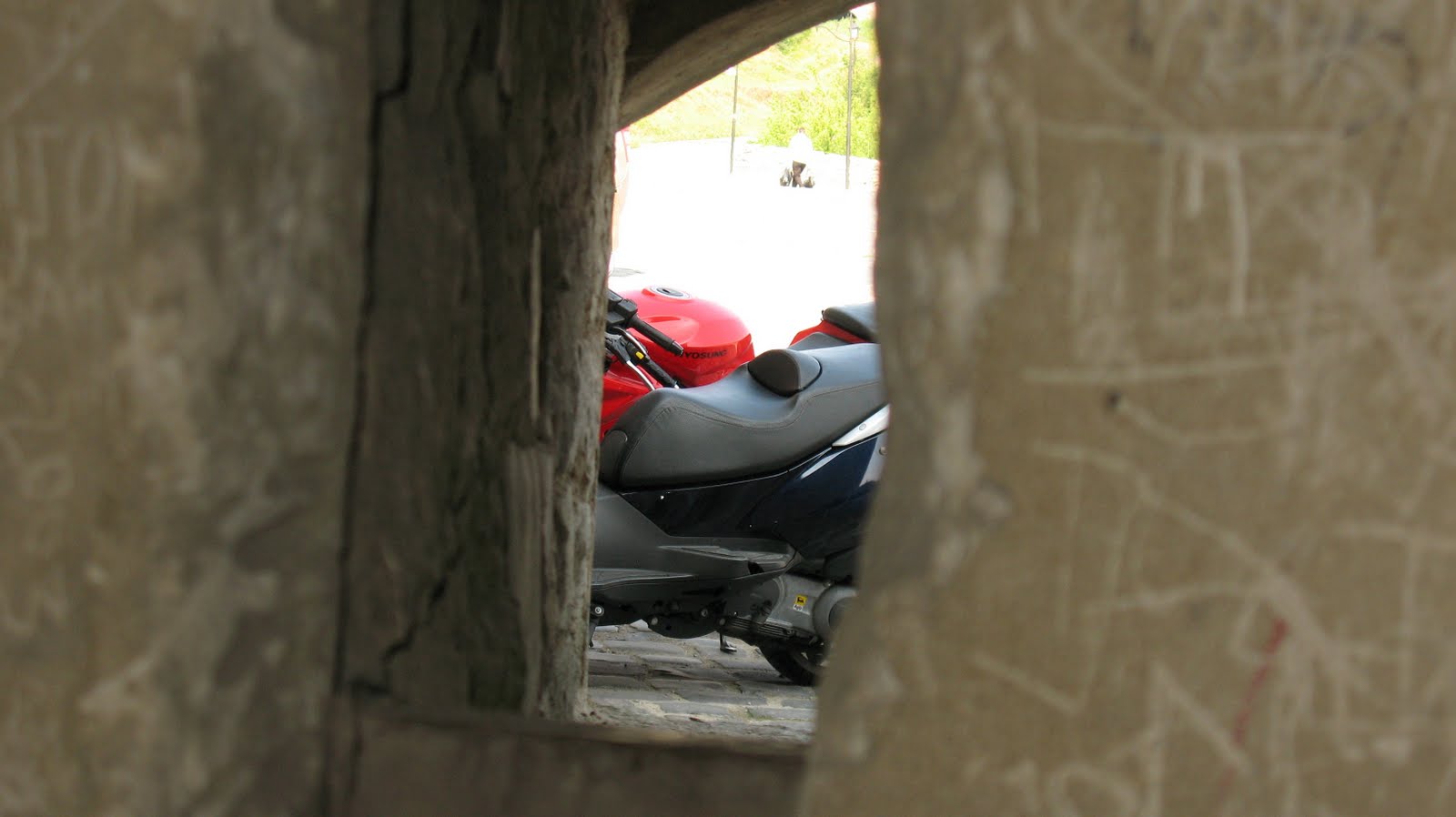 [IMG_70252.jpg]