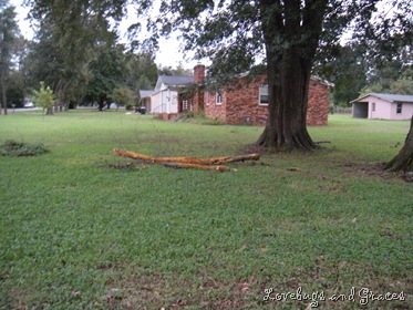 [DSCN0996[8].jpg]