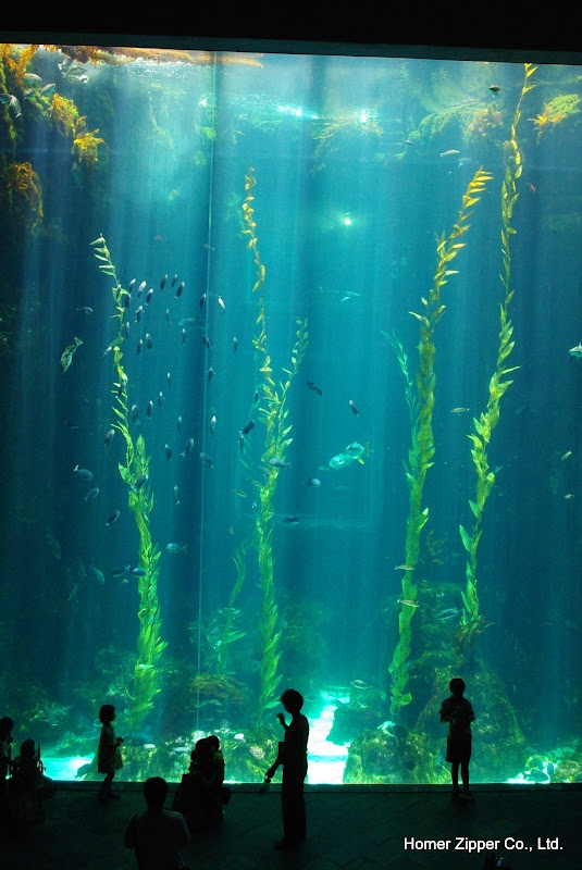 20100619墾丁白沙灣 & 0620海生館
