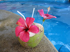 Acapulco Vacation Slideshow