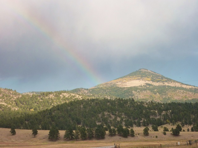 [Colorado Rainbow[3].jpg]