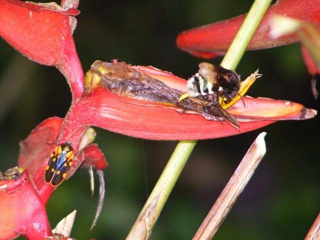 [2010_05220038[2].jpg]