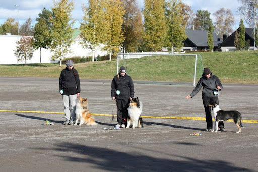 Lysti sijoilla (C) Velipekka Soini