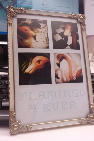 [flamingo_gunvor[3].jpg]