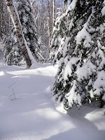 Hurricane Mt- sentier 3617.JPG Photo