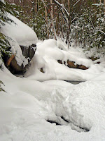 Mt Giant, Roaring Brook 3639.JPG Photo