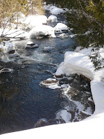 Lake Colden 3719.JPG Photo