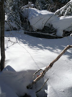Big Slide Mt 3673.JPG