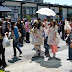 Lolita devotees