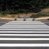 Crosswalk at Immigrant Point Overlook