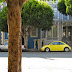 Yellow Beetle