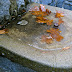 Frozen fountain