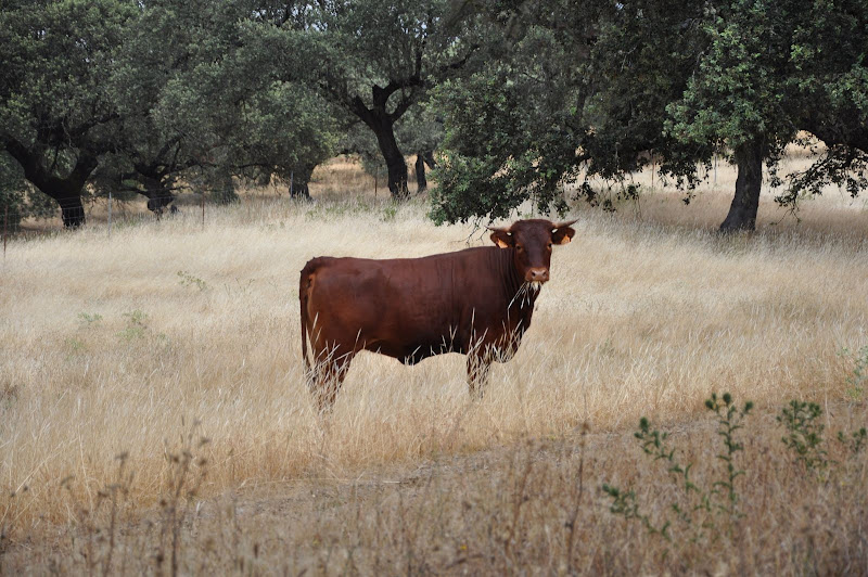 DSC_1214.JPG