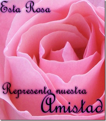 rosa1