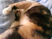 DSC00109.JPG