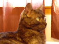 DSCN1508.JPG