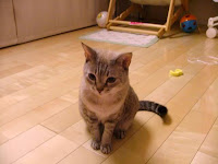 DSCF5300.JPG