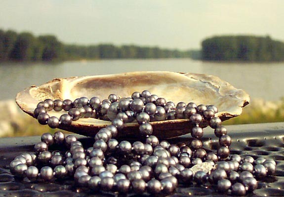 [black-pearls-tumbling-from-shell-by-mississippi.jpg]