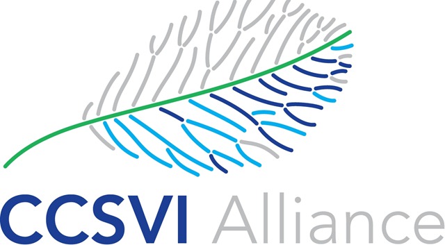 [CCSVI Alliance Logo NoTag Line[6].jpg]