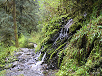 HikingLake22-2.JPG Photo