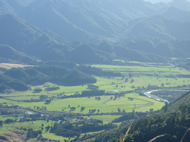 [P10106812.jpg]
