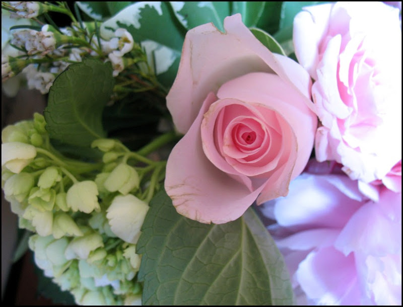 fading rose
