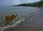  swimming