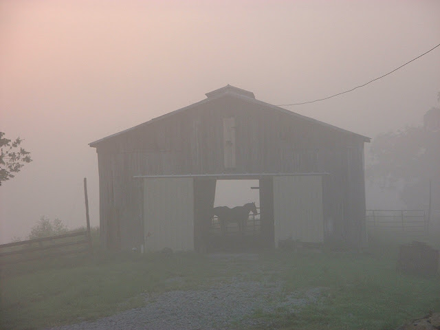 DSCF0118.JPG