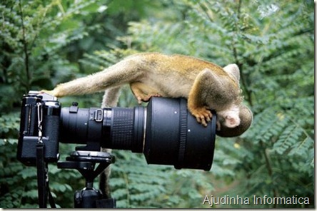 macaco fotografo