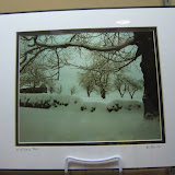 Nature Scene in Snow