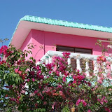 Pink House with Pink Roses