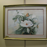 White Flowering Plant