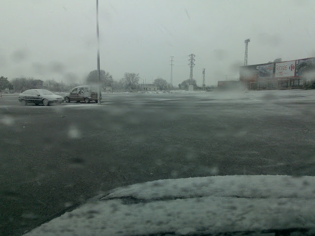 10012010022.jpg