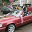 CSD07_40.jpg