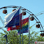 DSCF0288.JPG