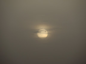 the sun in the dust