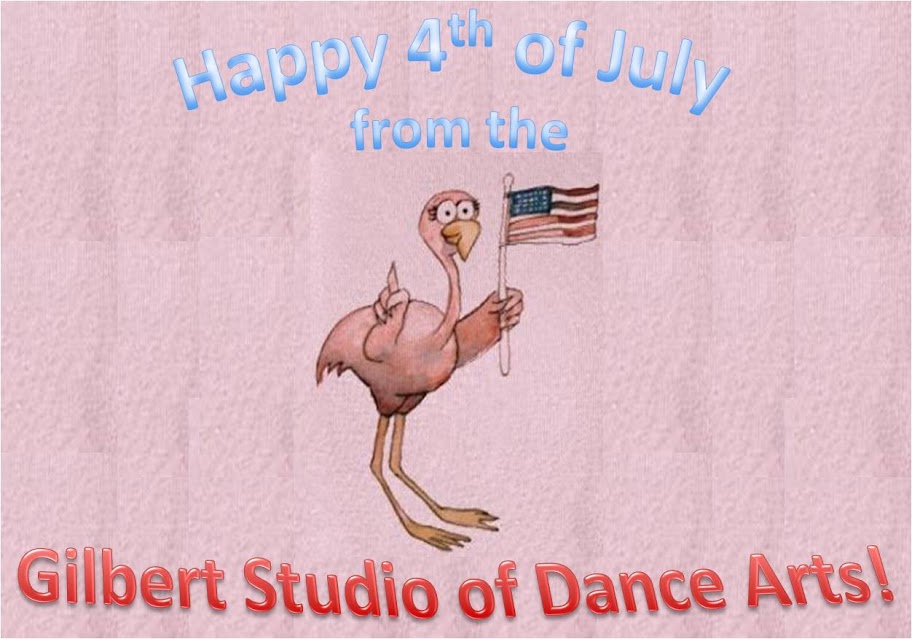 Pink Flamingo Says America is Number 1!