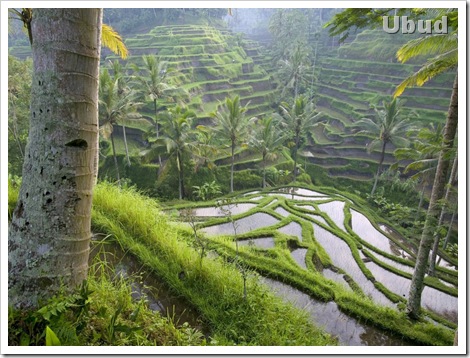 ubud