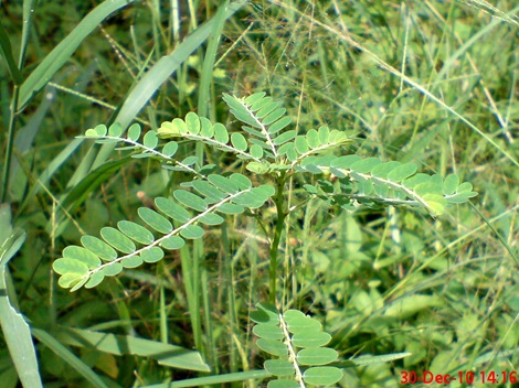 DSC04746 DSC04746