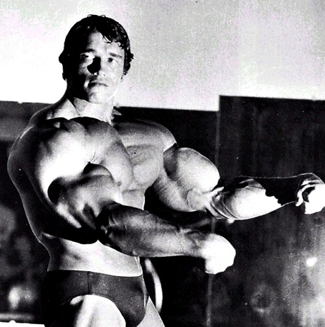 Arnold Schwarzenegger 4 Day Workout