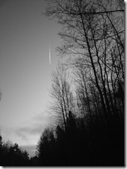 Picture 819