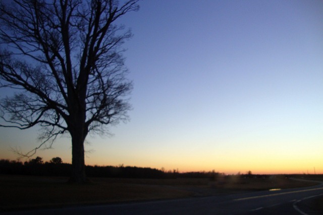 [WinterSkies0294.jpg]