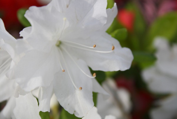 April 2011 097-1