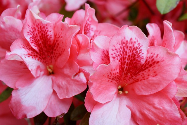 [April201104411.jpg]