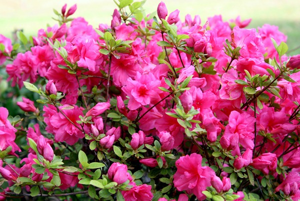 April 2011 050-1